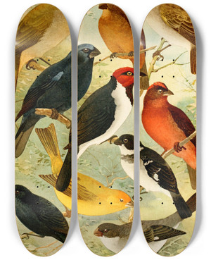 Triptych art skateboard deck of Emil August Gldi Trincaferro Azulo Cardeal Gallo Do Mato Serraserra Colleiro Cigarra by Emil August Goldi (1859-1917)