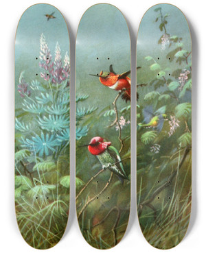 Triptych art skateboard deck of Allan Brooks Rufous And Annas Humming Birds by Allan Brooks (1869-1946)