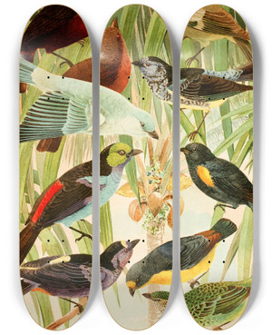 Triptych art skateboard deck of Emil August Gldi Pipiras Sahys Temtems by Emil August Goldi (1859-1917)