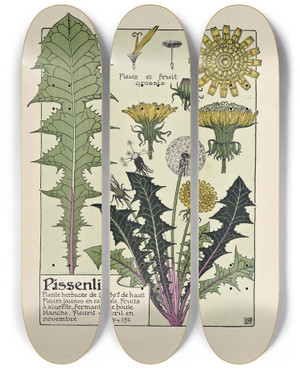 Triptych art skateboard deck of Maurice Pillard Verneuil Pissenlit_2 by Maurice Pillard Verneuil (1869-1942)