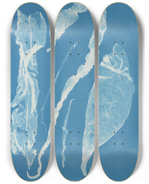 Triptych art skateboard deck of Anna Atkins Enteromorpha Intestinalis_2 by Anna Atkins (1799-1871)