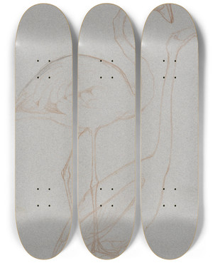 Triptych art skateboard deck of Theo Van Hoytema Twee Studies Van Een Flamingo by Theo Van Hoytema (1863-1917) Triptych art skateboard deck of Theo Van Hoytema Twee Studies Van Een Flamingo by Theo Van Hoytema (1863-1917)