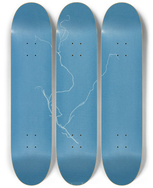 Triptych art skateboard deck of Anna Atkins Sporochnus Rhizodes Paradoxa by Anna Atkins (1799-1871)