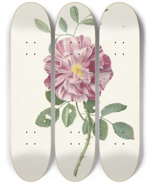 Triptych art skateboard deck of Pieter Withoos Roos by Pieter Withoos (1654-1693)