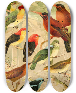 Triptych art skateboard deck of Emil August Gldi Arirambas Da Matta Virgem Uirpur Diversos Sahy by Emil August Goldi (1859-1917)