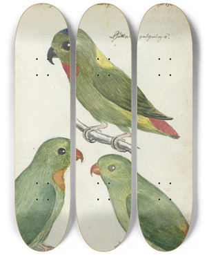 Triptych art skateboard deck of Jan Brandes Oostindische Parkieten by Jan Brandes (1743-1808)