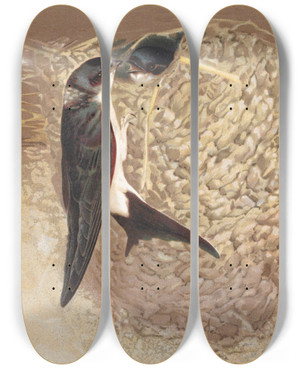 Triptych art skateboard deck of Lopaul Robert Hirondelle De Fentre by Leo Paul Robert (1851-1923)