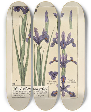 Triptych art skateboard deck of Maurice Pillard Verneuil Iris Despangne by Maurice Pillard Verneuil (1869-1942)