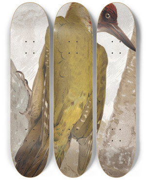 Triptych art skateboard deck of Lopaul Robert Pic Vert by Leo Paul Robert (1851-1923)