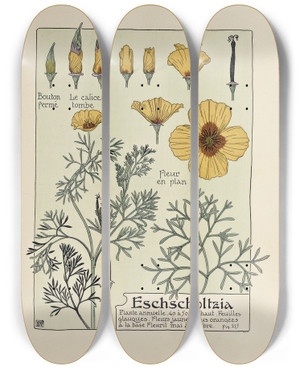 Triptych art skateboard deck of Maurice Pillard Verneuil Eschscholtzia by Maurice Pillard Verneuil (1869-1942)