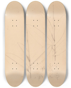 Triptych art skateboard deck of Joo Barbosa Rodrigues Iconographie Des Orchidees Du Bresil Pl25 by Joao Barbosa Rodrigues (1842-1909)