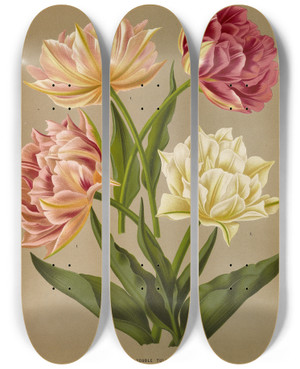Triptych art skateboard deck of Arentina Hendrica Arendsen Double Tulips 1Murillo 2Couronne Des Roses 3La Candeur by Arentina Hendrica Arendsen (1836-1915)