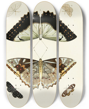 Triptych art skateboard deck of Pieter Cramer Foreign Butterflies Occurring In The Three Continents Asia Africa And America Pl318 by Pieter Cramer (1721-1776)