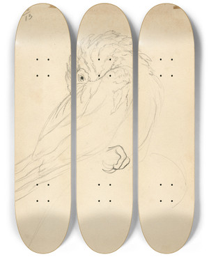 Triptych art skateboard deck of Theo Van Hoytema Papegaai_1 by Theo Van Hoytema (1863-1917)