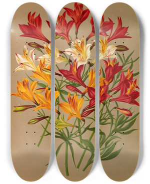 Triptych art skateboard deck of Arentina Hendrica Arendsen Alstroemeria Chilensis Varr by Arentina Hendrica Arendsen (1836-1915)