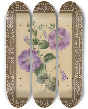 Triptych art skateboard deck of James Andrews The Petuna by James Andrews (1801-1876)