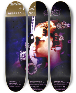 Triptych art skateboard deck of National Institutes Of Health Auditory And Visual Research In 2001 by National Institutes Of Health (1887)