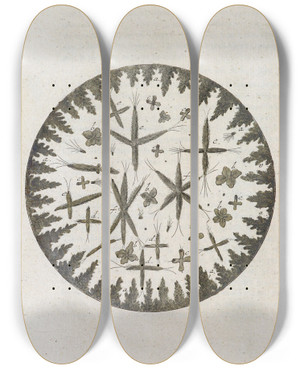 Triptych art skateboard deck of Martin Frobenius Ledermuller Amusement Microscopique Tant Pour Lesprit Que Pour Les Yeux Pl047 by Martin Frobenius Ledermu%Cc%88Ller (1719-1769)