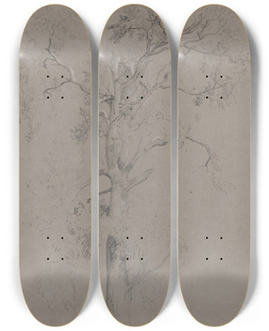 Triptych art skateboard deck of Peter Dewint Ash Tree In Ashstead Park by Peter Dewint (1784-1849)