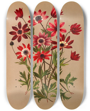 Triptych art skateboard deck of Arentina Hendrica Arendsen Anemone Stellata Varr Anemone Hortensis Varr by Arentina Hendrica Arendsen (1836-1915)