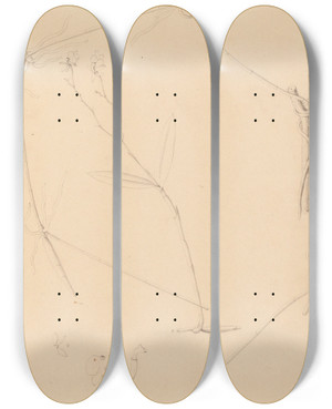 Triptych art skateboard deck of Joo Barbosa Rodrigues Iconographie Des Orchidees Du Bresil Pl41 by Joao Barbosa Rodrigues (1842-1909)