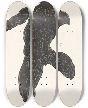 Triptych art skateboard deck of Reijer Stolk Anatomische Studie Van De Nek Buik En Bovenbeenspieren Van Een Man In Silhouet by Reijer Stolk (1896-1945)