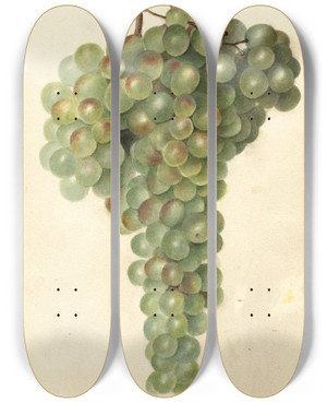 Triptych art skateboard deck of Deborah Griscom Passmore Vitis Malaga by Deborah Griscom Passmore (1840-1911)