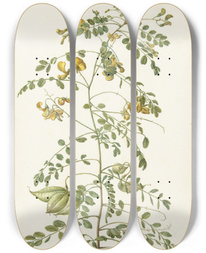 Triptych art skateboard deck of Herman Saftleven Blazenstruik Colutea Arborescens by Herman Saftleven (1609-1685)