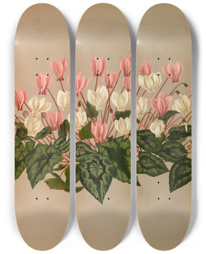 Triptych art skateboard deck of Arentina Hendrica Arendsen Cyclamen Hederaefolium Cyclamen Autumnale by Arentina Hendrica Arendsen (1836-1915)