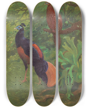 Triptych art skateboard deck of Charles Robert Knight Bornean Crested Fireback by Charles Robert Knight (1874-1953)