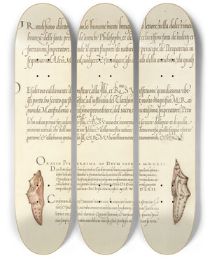 Triptych art skateboard deck of Joris Hoefnagel Butterfly Pupae by Joris Hoefnagel (1542-1600)