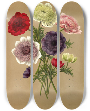 Triptych art skateboard deck of Arentina Hendrica Arendsen Anemone Coronaria Fl Pl Doubles Anemones by Arentina Hendrica Arendsen (1836-1915)