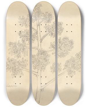 Triptych art skateboard deck of Luigi Balugani Gibara by Luigi Balugani (1737-1770)
