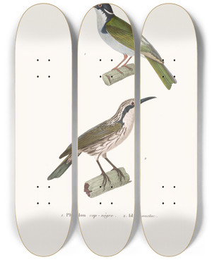 Triptych art skateboard deck of Coenraad Jacob Temminck Phildon Capngre by Coenraad Jacob Temminck (1778-1858)