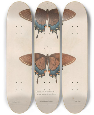 Triptych art skateboard deck of Jean Gabriel Pretre Insectes Recueillis En Afrique Et En Amrique Pl75 by Jean Gabriel Pretre (1768-1849)