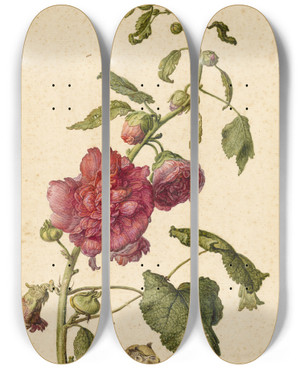 Triptych art skateboard deck of Herman Saftleven A Hollyhock by Herman Saftleven (1609-1685)