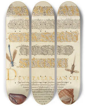 Triptych art skateboard deck of Joris Hoefnagel Damselfly Insect And Marine Mollusks by Joris Hoefnagel (1542-1600) Triptych art skateboard deck of Joris Hoefnagel Damselfly Insect And Marine Mollusks by Joris Hoefnagel (1542-1600)