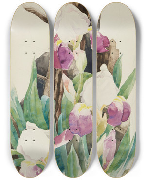 Triptych art skateboard deck of Charles Demuth Iris by Charles Demuth (1883-1935)