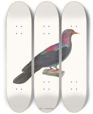 Triptych art skateboard deck of Coenraad Jacob Temminck Colombe Mtallique by Coenraad Jacob Temminck (1778-1858)