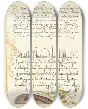 Triptych art skateboard deck of Joris Hoefnagel Noahs Ark Shell And Sneezewort by Joris Hoefnagel (1542-1600)
