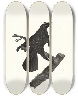 Triptych art skateboard deck of Jacques Barraband Le Superbe Talant Ses Parures by Jacques Barraband (1767-1809)
