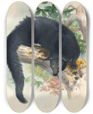Triptych art skateboard deck of Joseph Wolf The Binturong_1 by Joseph Wolf (1820-1899)