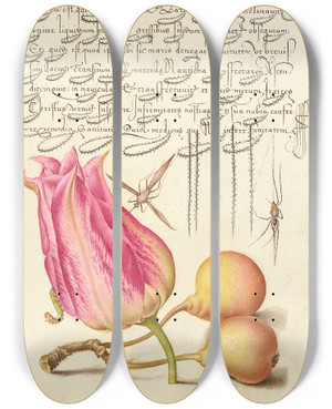 Triptych art skateboard deck of Joris Hoefnagel Imaginary Insect Tulip Spider And Common Pear by Joris Hoefnagel (1542-1600)