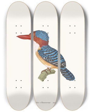Triptych art skateboard deck of Coenraad Jacob Temminck Martinchasseur Mignon by Coenraad Jacob Temminck (1778-1858)
