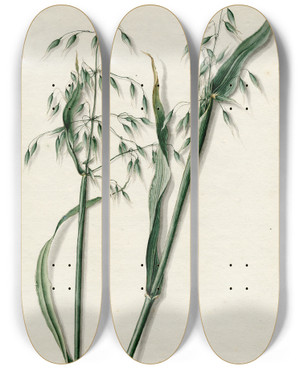 Triptych art skateboard deck of Barend Hendrik Thier Haver by Barend Hendrik Thier (1751-1814)