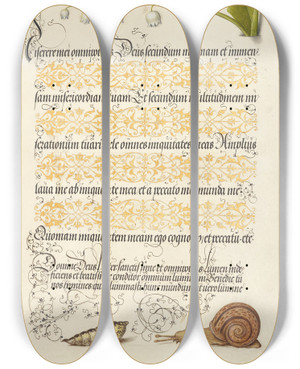 Triptych art skateboard deck of Joris Hoefnagel Lilyofthevalley Pupa And Land Snail by Joris Hoefnagel (1542-1600)