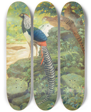 Triptych art skateboard deck of Charles Robert Knight Lady Amherst Pheasant by Charles Robert Knight (1874-1953)