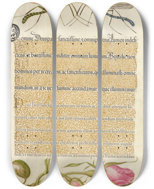 Triptych art skateboard deck of Joris Hoefnagel Crested Crane Fly Insect And French Rose by Joris Hoefnagel (1542-1600)