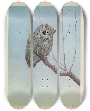 Triptych art skateboard deck of Louis Agassiz Fuertes Spooky The Screech Owl by Louis Agassiz Fuertes (1874-1927)