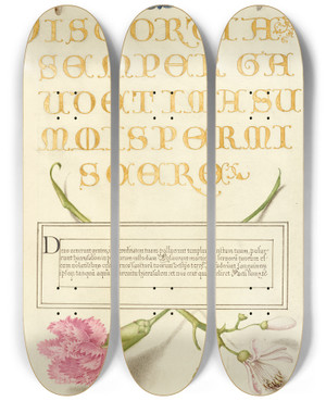 Triptych art skateboard deck of Joris Hoefnagel Insects Carnation And Judas Tree by Joris Hoefnagel (1542-1600)